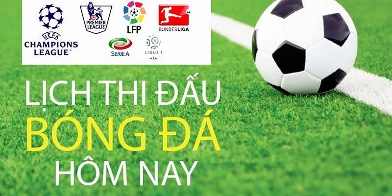 Tra cứu thông tin chuẩn xác tại Mitomtv