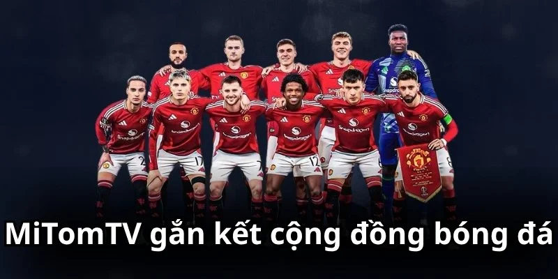 Trực tiếp bóng đá MitomTV gắn kết cộng đồng