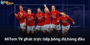 MiTomTV phát trực tiếp bóng đá hàng đầu